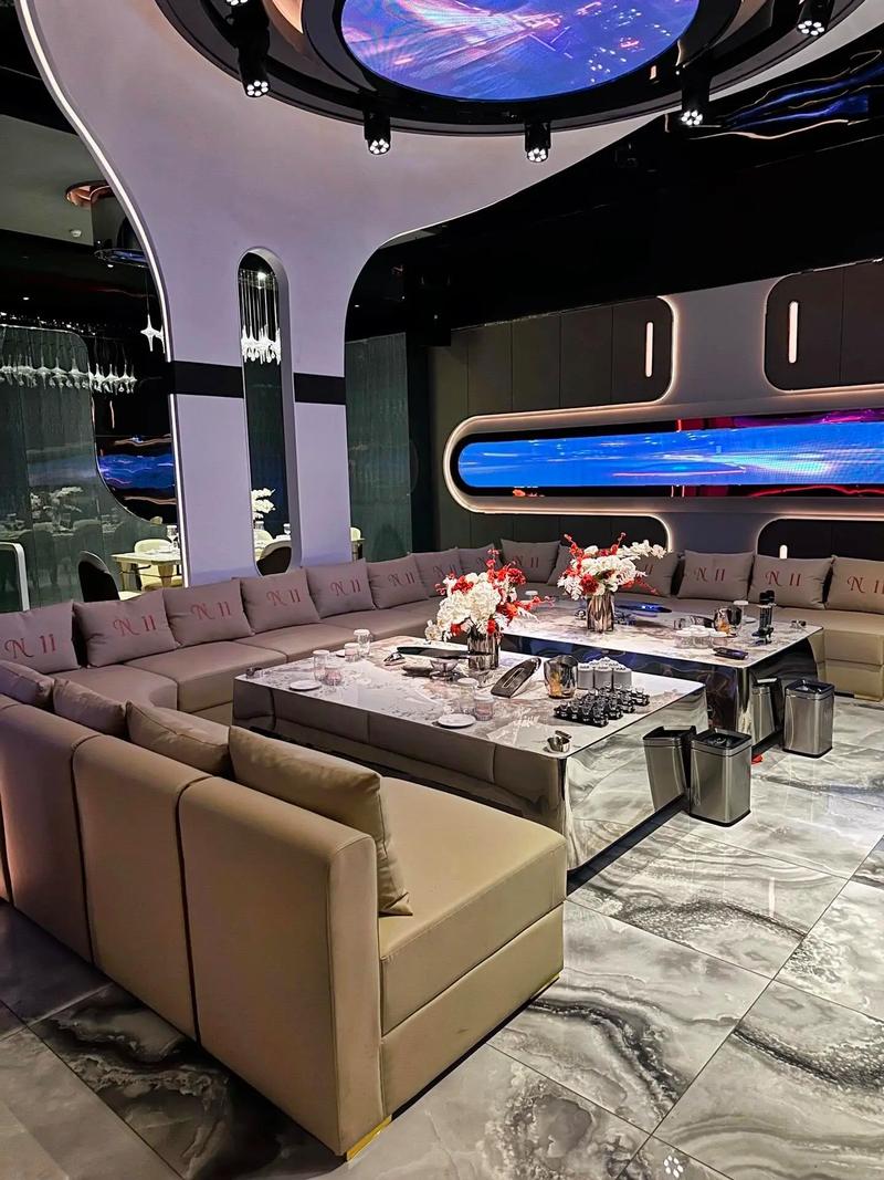 双鸭山商务KTV，探索商务KTV的神秘魅力-四方台区ktv预订